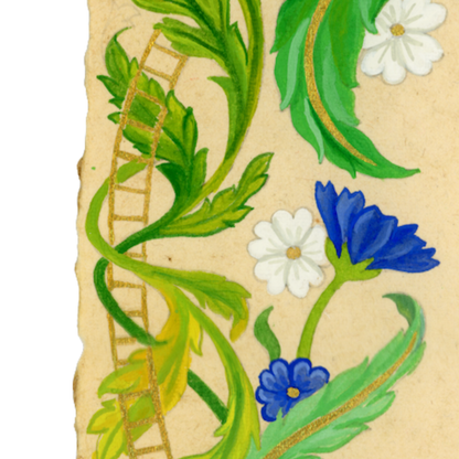 Qur'anic Dua for Perseverance