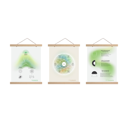 Philosophy Diagrams | Bundle of 3