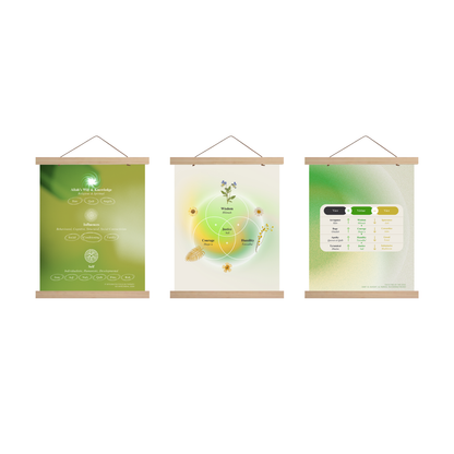 Philosophy Diagrams | Bundle of 3