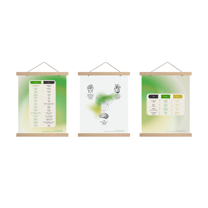 Philosophy Diagrams | Bundle of 3
