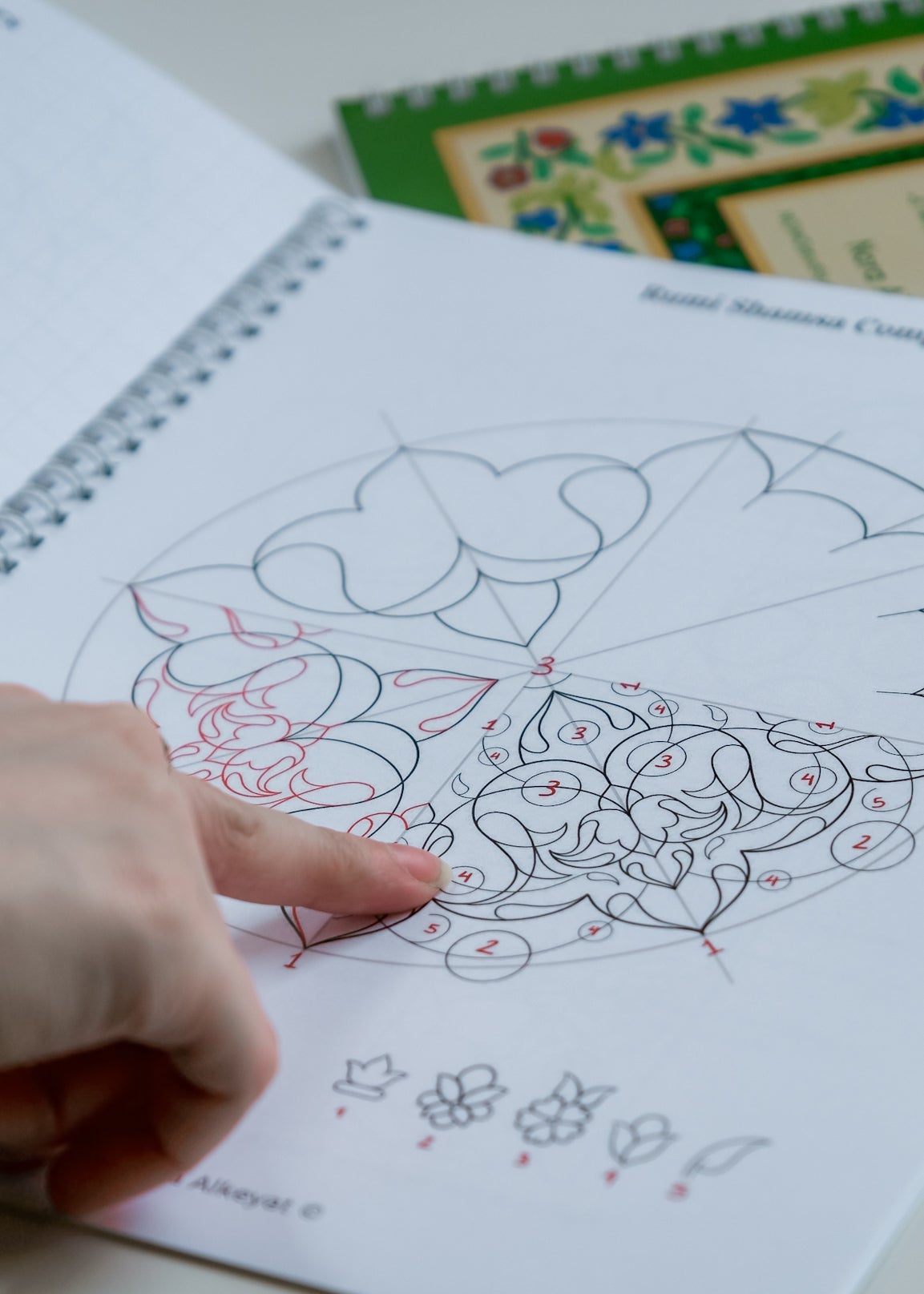 Islamic Biomorphic Drawing Workbook